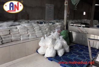 hinh-anh-mat-na-dua-an-nam-11.jpg